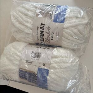Bernat Blanket Extra Yarn - White 2 skeins new in bag